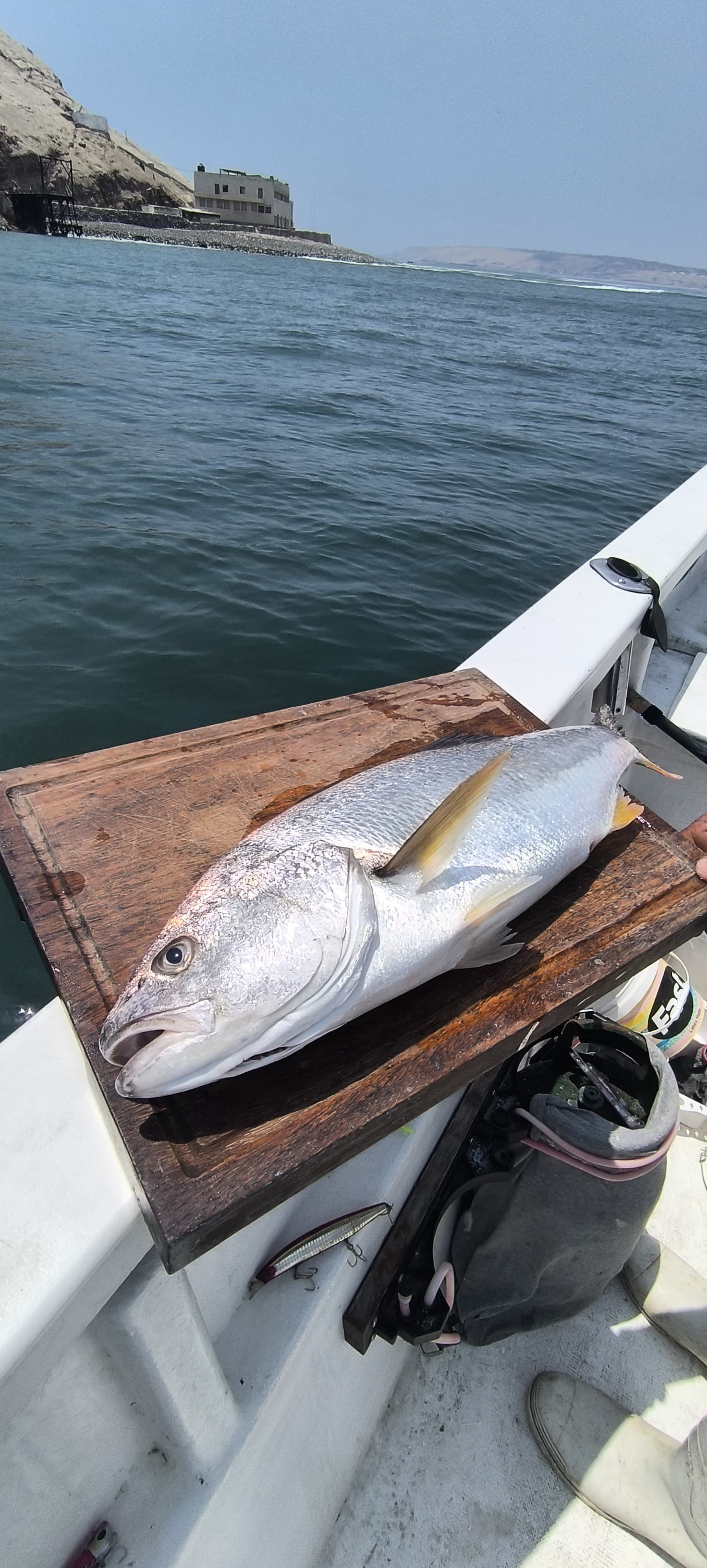 Pesca deportiva en Pucusana