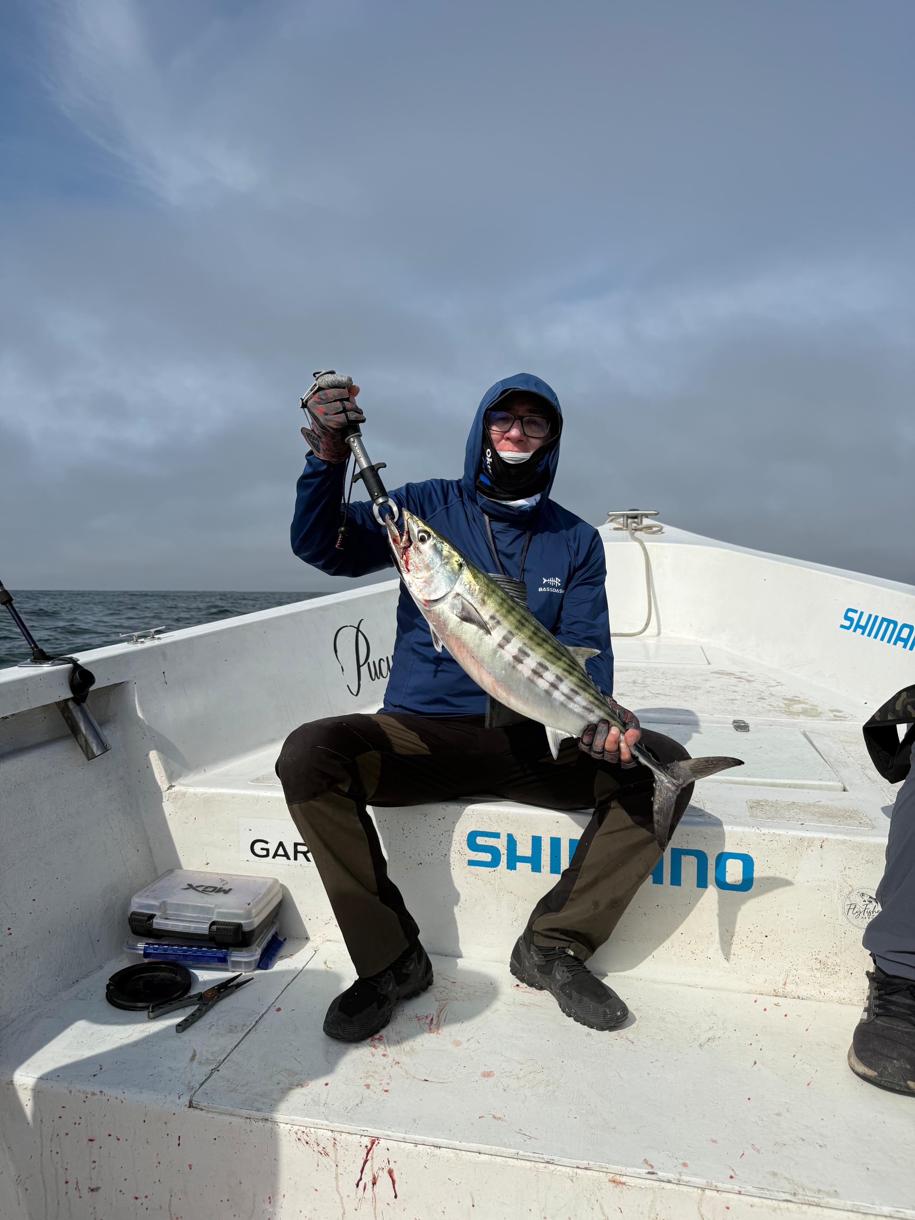 Expedición offshore